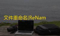 文件重命名(ReNamer Pro) 7.2 汉化绿色版